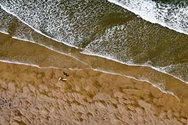 plage landaise surf